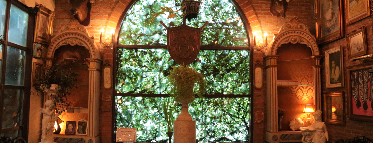 SNSfI^CEoRN̂JtFus[^v