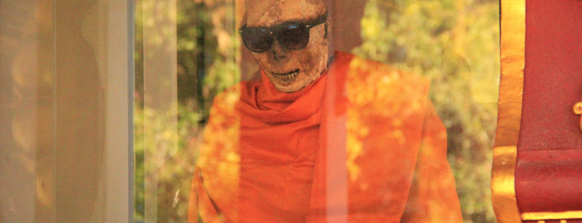 �T���O���X���������I�T���C���u���b�g�N���i���v�̃~�C���m