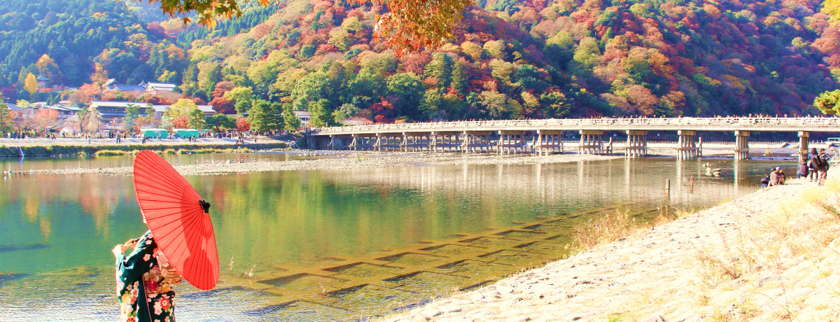 ���{�̏H���������߁I���s�E���R�̍g�t�X�|�b�g������15�I