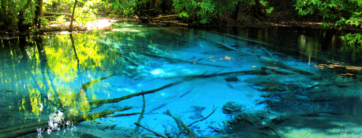 Gh̉I^CENr̂ߊόX|bg