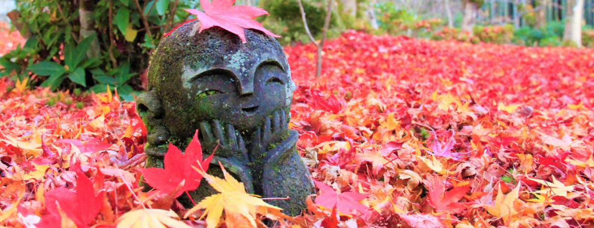 �U�g�t�ɂ��n���l�������Ƃ�I���s�E�������͌���̍g�t����