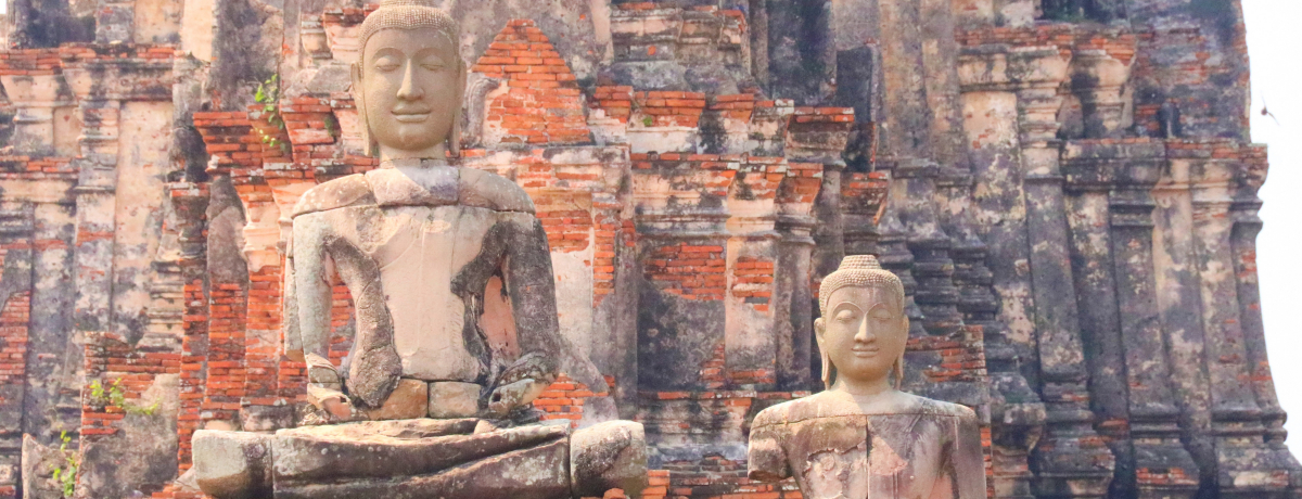 �^�C�l�����ɐl�C�I���b�g�E�`���C���^�i���[���͗����p���[�X�|�b�g