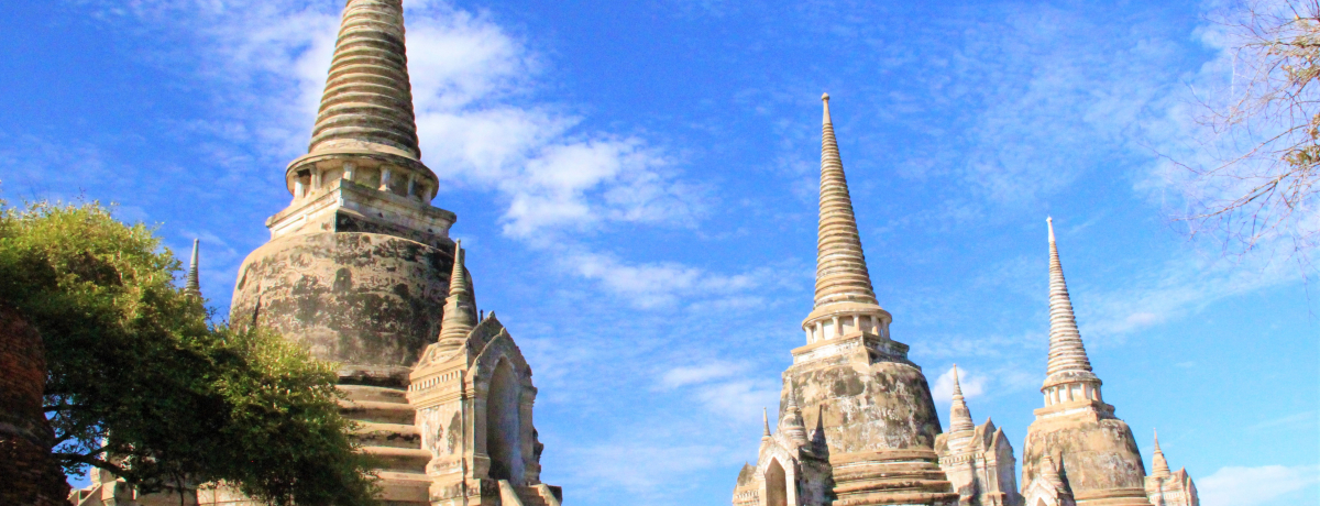 A^ό̒SIbgEvEV[Tybgӂ߈