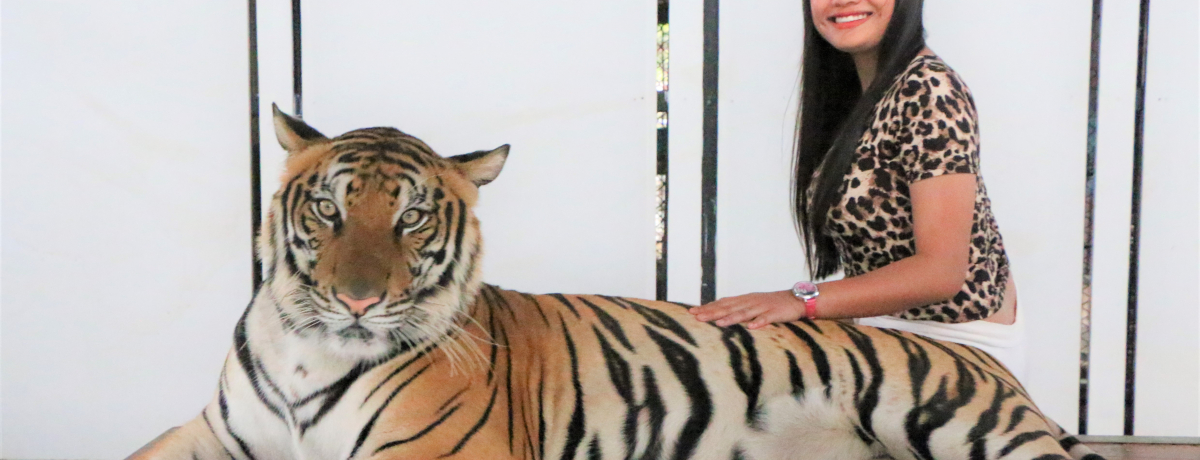 厩RƗVԁI^CETC̗IߊόR[X