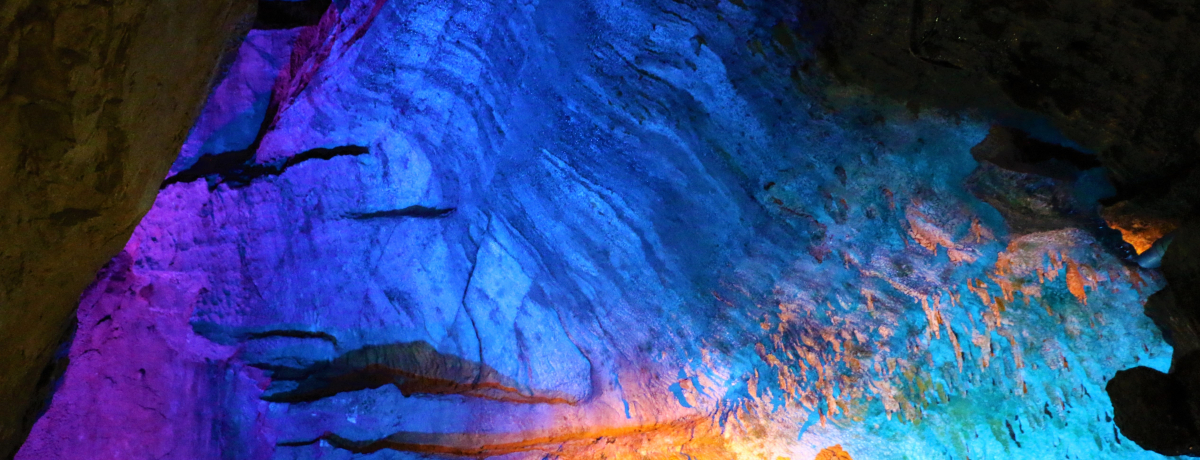 �ǂ����œ��A�T������H�ޗǌ��V�쑺�ܑ̌㏼�Ɩʕs���ߓ���