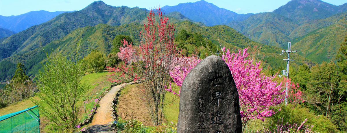 ʂĂȂƐEY̓Iޗǌ\Ð쑺uʖWv