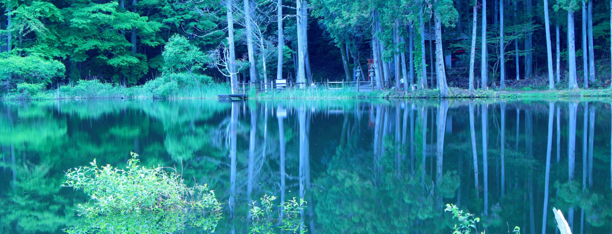 A[JkJIޗǌFɂ̃p[X|bgSI