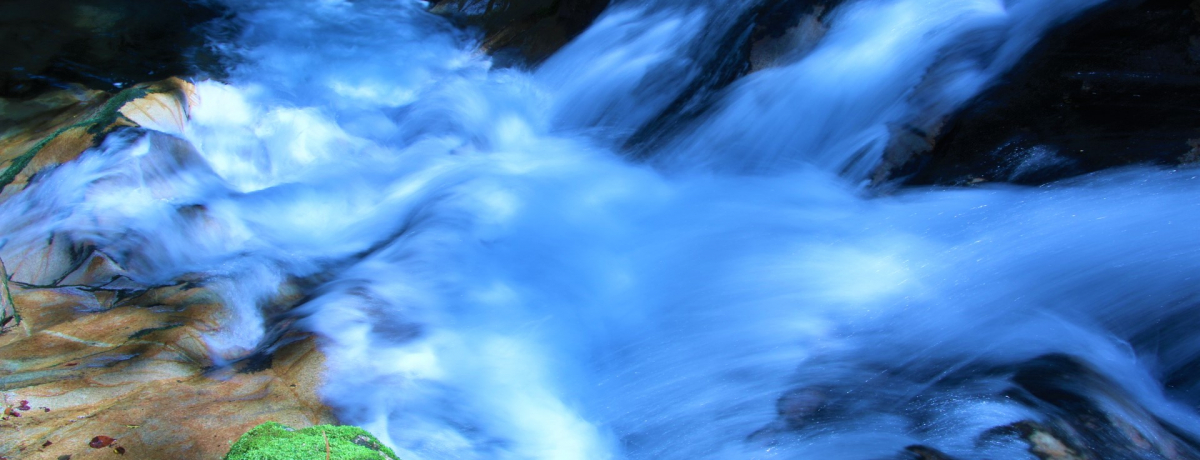 �݂苴�A��A�ʒu�_�Ђɍs���H�ޗǌ��\�Ð쑺�̊ό��X�|�b�g5�I