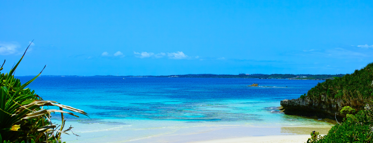 gbvNX̓xI{ÓnɗǕ̐iX|bg