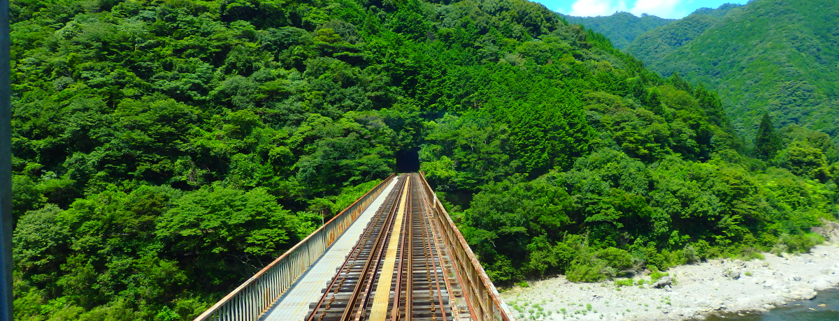 JR�\�y���̐�i�ԑ��͎l���\�삪���։E�ցI