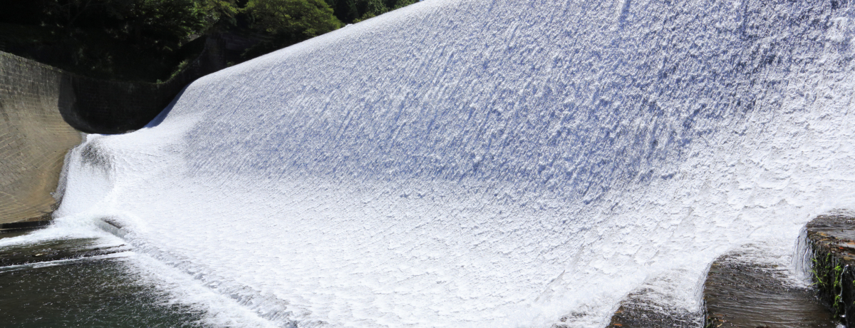 啪u_v͗dȏ̂悤ȓ{_