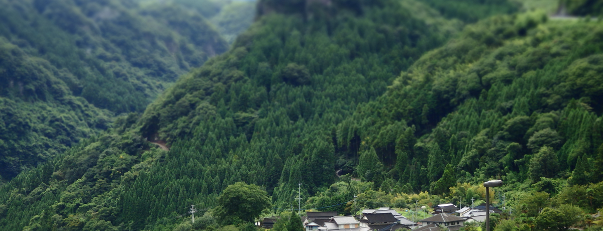 啪EF̃}`s`͓{̉Bꂽ󒆓ssH