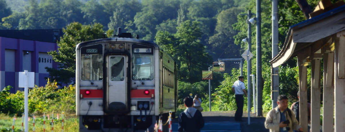 ʂIiqG{őщwK˂Ă݂悤B