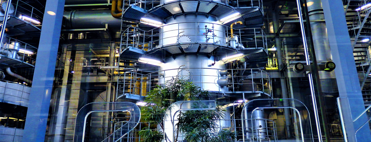 ����������S�~������I�L���E�G�R���A�����N�[���ŎQ����