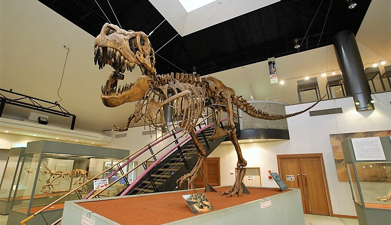 _Z^[͊֓EQn̋ȊՉ΂I