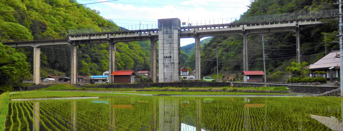 ΓV̉wIEO]FswƂ̕ʂꂪɂ