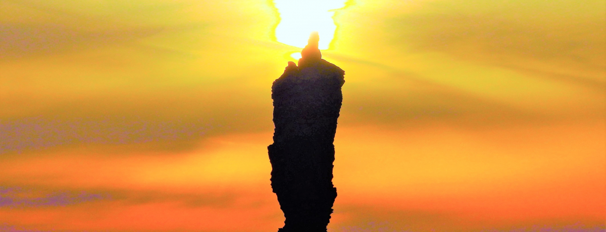 B̓ό͈hCuXXI12xXg[g