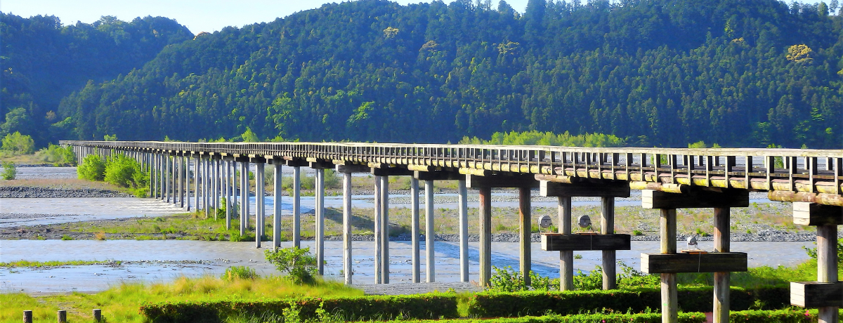 uHvnčsIÉEqVn̓{̑咃