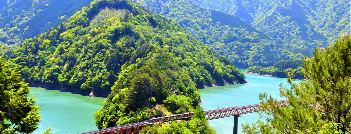 �����c��1��2�����f���R�[�X�ŁA�����Ƃ�������i���y�������I