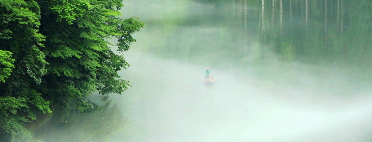 ����͖��������H����Áu�������̓n���v�͔������R�����z�̌�