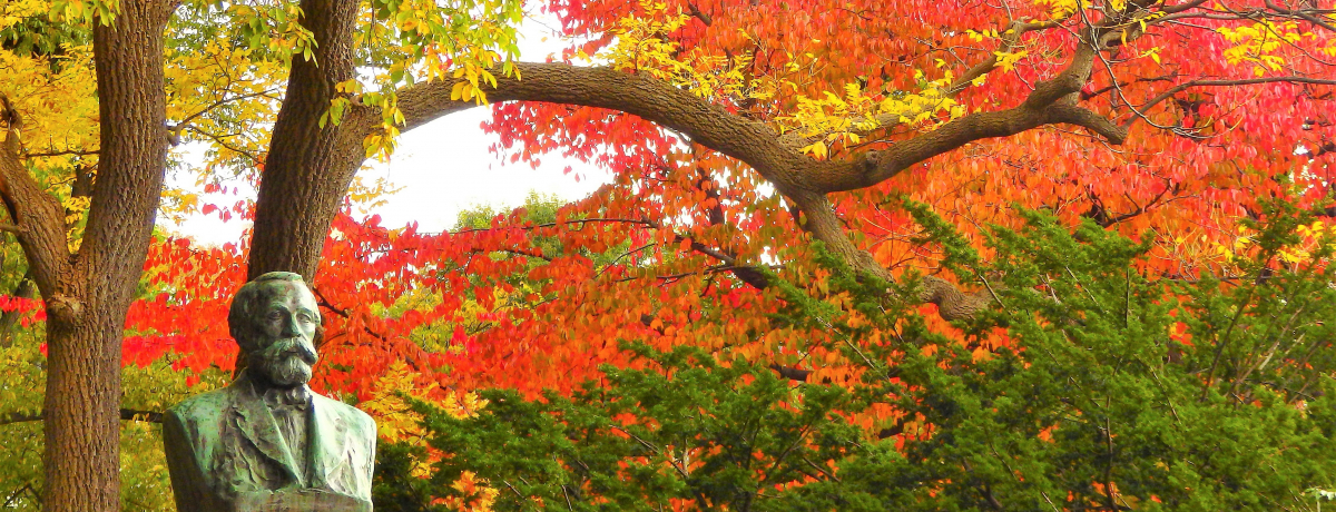 kόȂ炱Ik吶1ԁ2ԃR[X