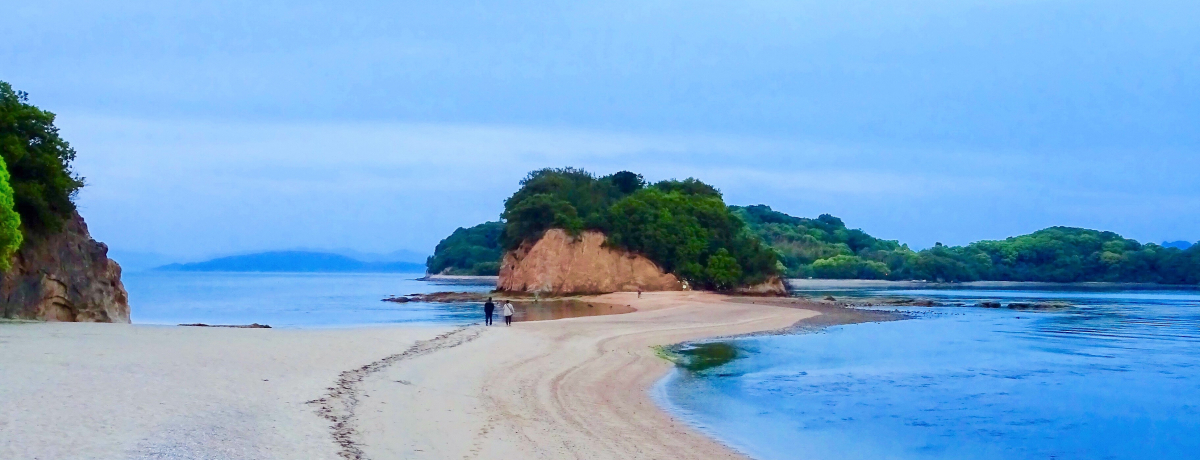 �������G���W�F�����[�h�̊y���ݕ��I���l�̐��n�͒��Ɨ[��