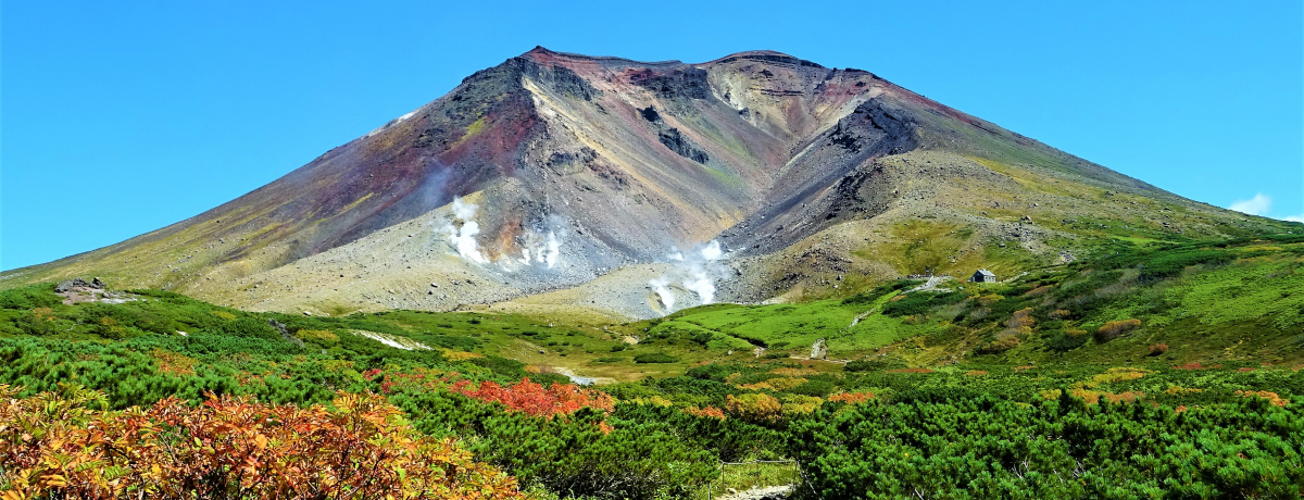 {B́gʐ^̒hkC쒬̗͌zH