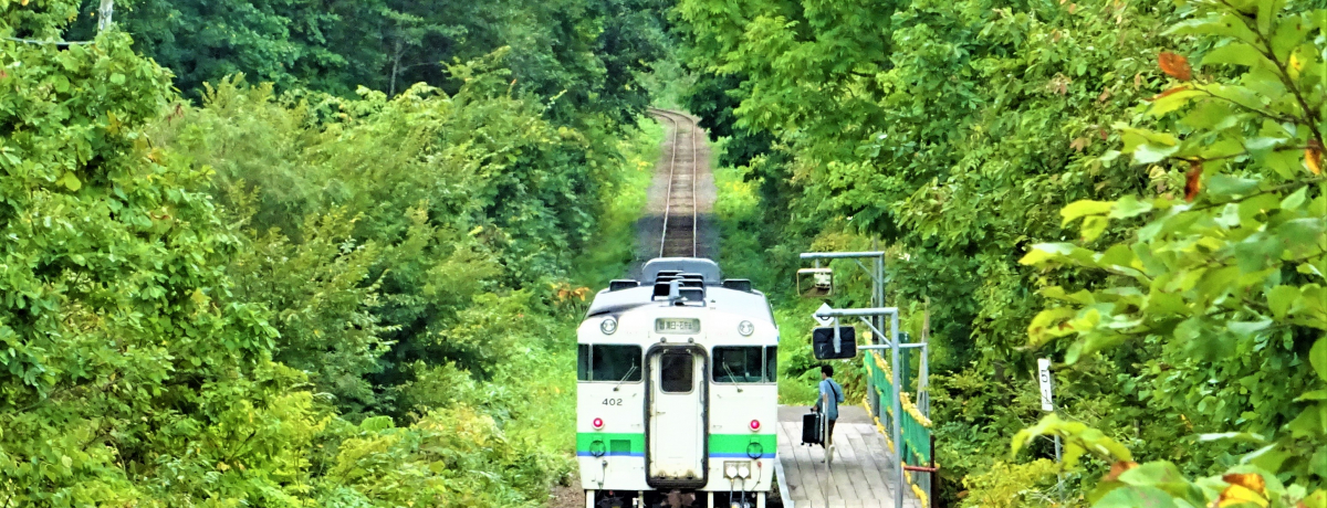 Xg܂łƂ킸IDp~Ԃ郂fR[X