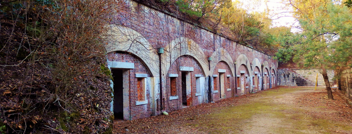 LEv쓇́AAŃKXAƂǂs^