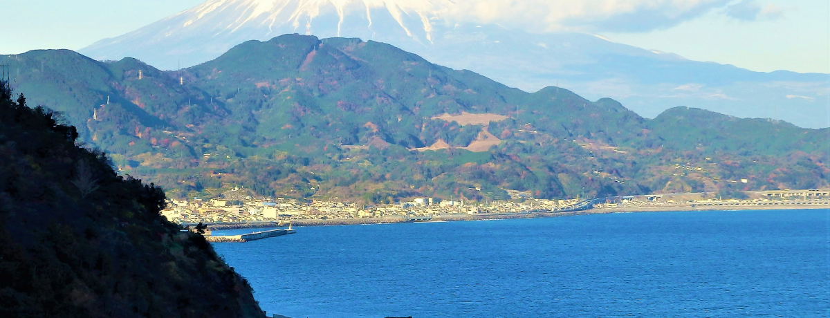 ÉEF埵͕xm]ޓC̐iX|bg