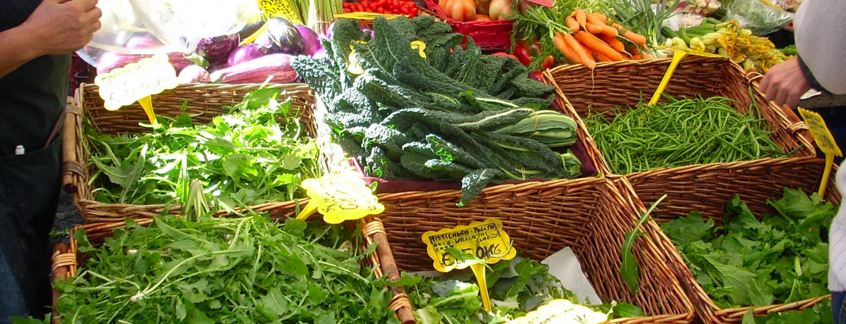 [}̂B̑䏊AysJ|EfEtBI[I