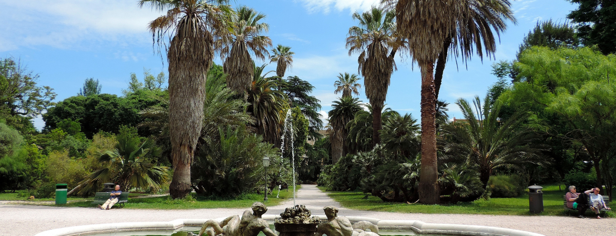 {뉀΂̃IAVXI[}όɔꂽwtAŃbNX