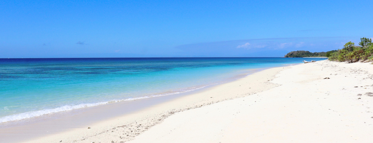 TSʂɈ͂܂ꂽtBW[̗zeu}i AChE][gXpv