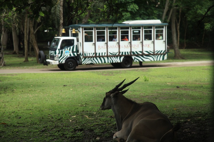 �����Ƀv�[���ɃV���[!!�\�����V�ׂ�o���T�t�@�����}�����p�[�N