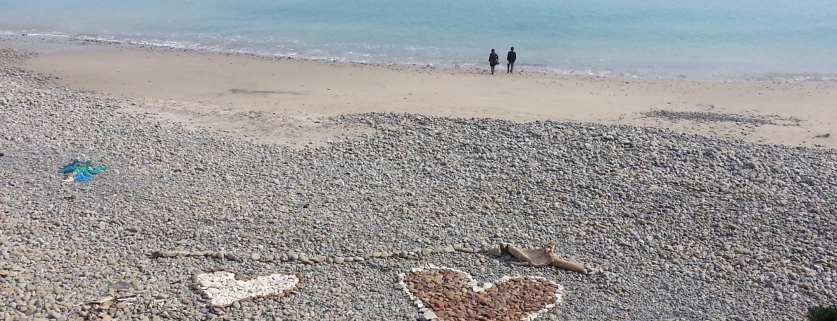 q̊ČiJtFuC[XgR[Xgvn[g̐΂Ńnbs[ɁI