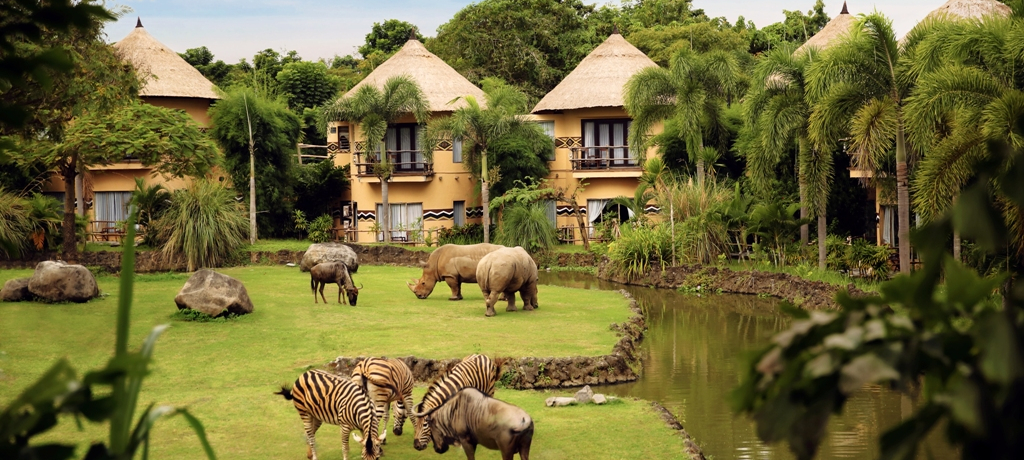 ���̊O�͓������I�o�����u�}�����o�[�T�t�@�����b�W�v