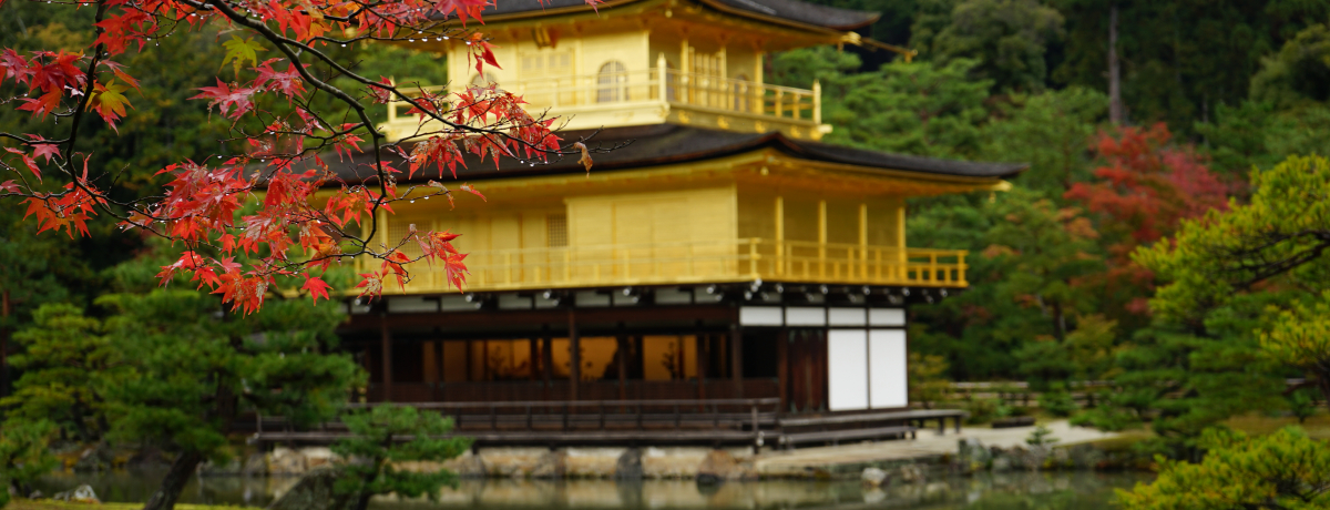 t@[XgLrGۋśusoX1ԌvvŁAghɋs