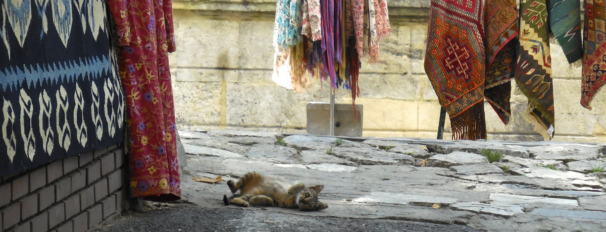 �C�X�^���u�[���͔L�̊X�B�������߁I���̔L�����