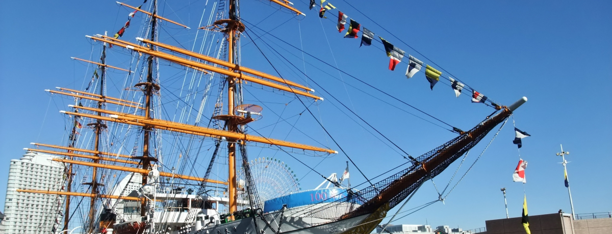 �S�n�ǂ��������󂯂āB�`���E���l�ŁA�D�̔����ق߂���I