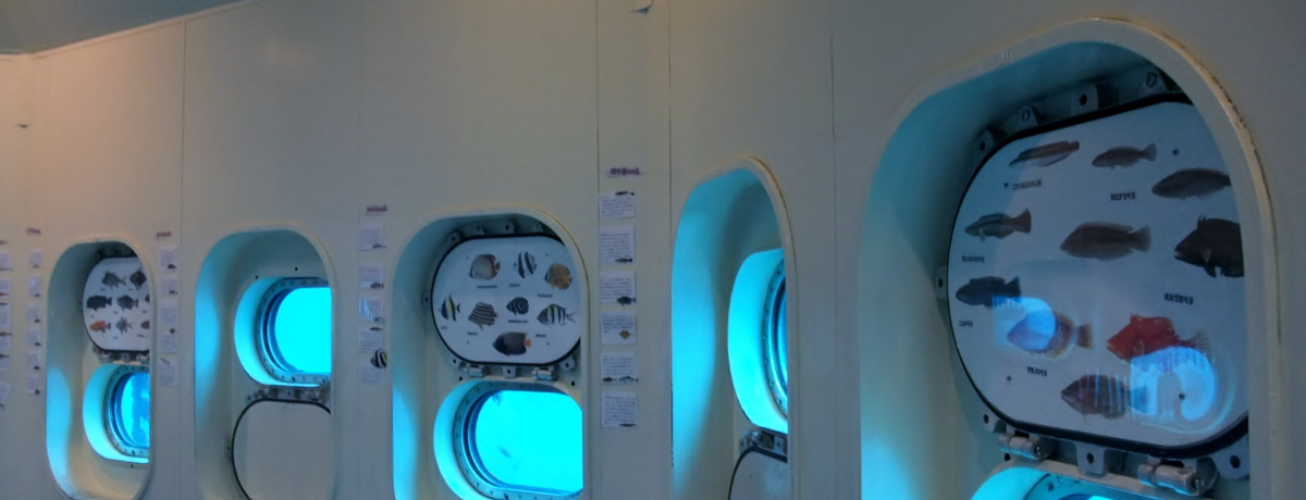 �C�さ�C����360�x�̑�p�m���}�I��t�u���Y�C���W�]���v