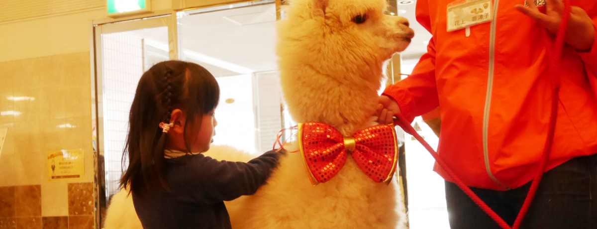 ApJo}IuzeGsi[ߐ{vŃLbYɖYȂvoI