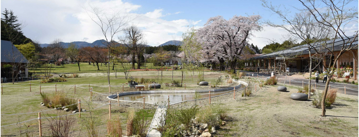 �u�ߐ{��{���q��v�����j���[�A���I�{�݂��O���������i�������A���̖��͂ɔ���I