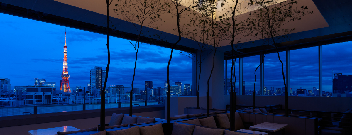 uOK[fzeZ{؃v~AvA[gƖiɐ