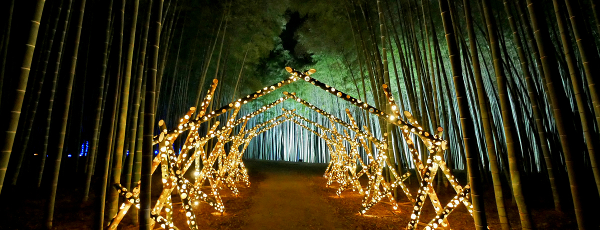 ���z�̒|�сI�F�s�{�u��|�̓m ��R�_��v�̃��C�g�A�b�v�������I