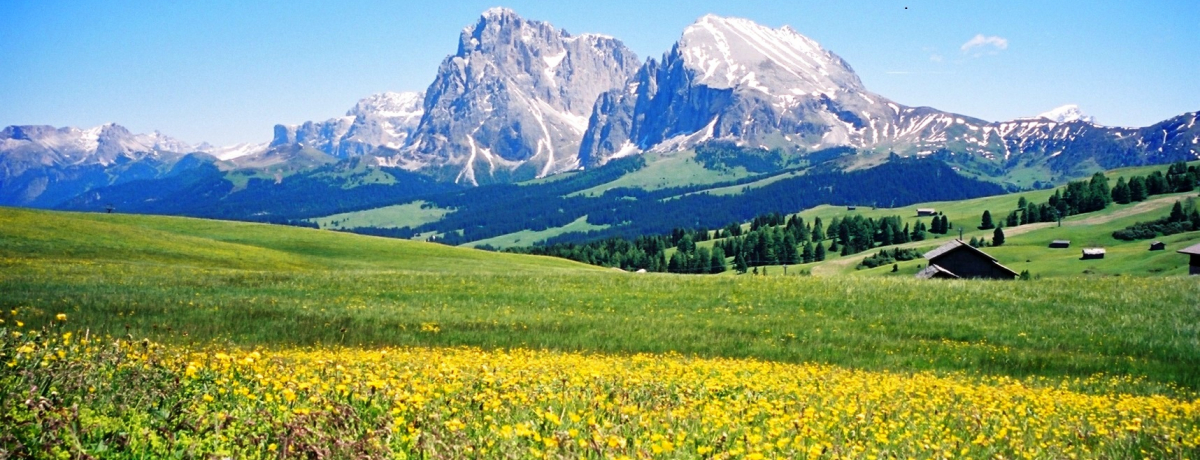 ɁEEYh~euAy fB VEWvB̂Ԕ_I