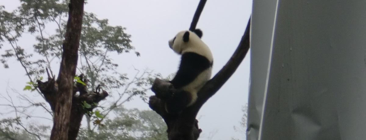 LI킢ԂIl֖ؓop_ɍsI