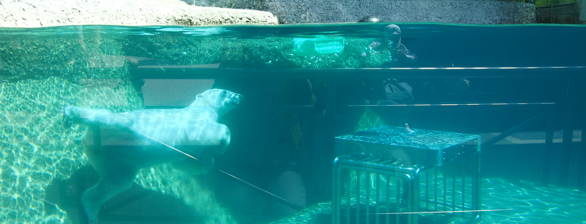 lő勉uƂܓv̐lC҃|񂪉I