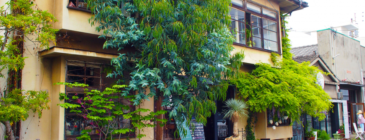 �����g�]������؂��ǂ�L�b�V���h����i�I�����u206TSUMAMU�v