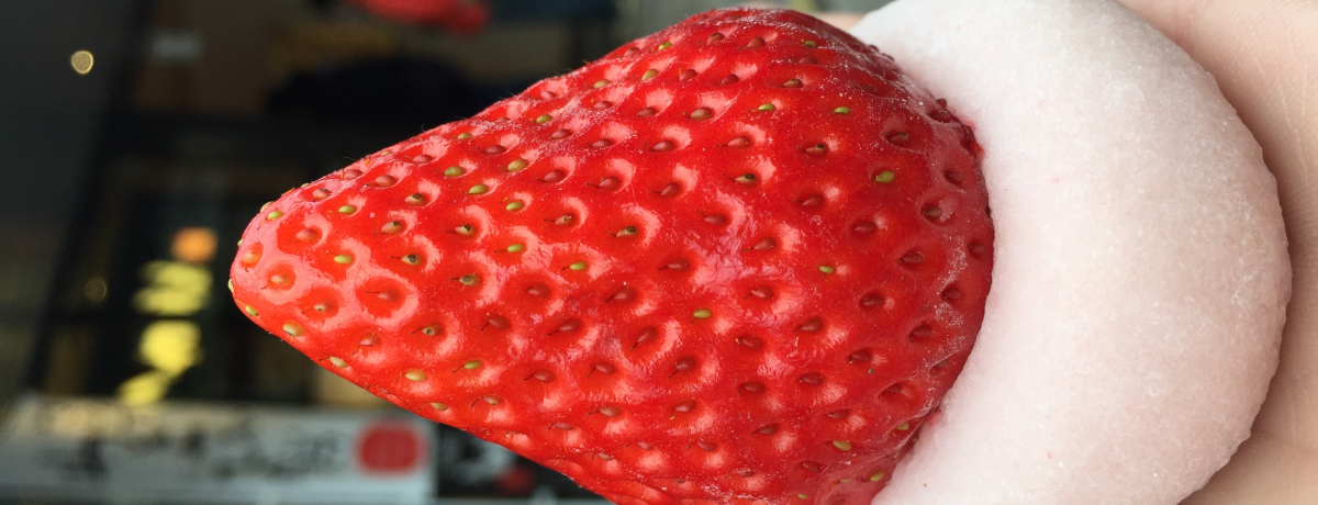 󑐂ŐHו!ŝł鏗ɐlC̍ŐVXC[cX3I