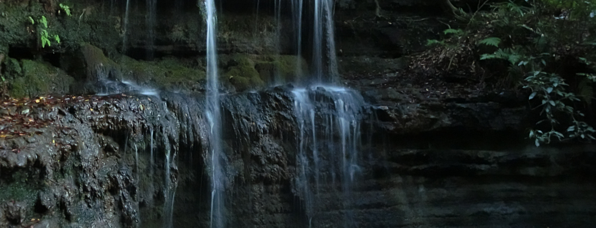 CKꂽq̔鋫uAz̑vꉹÎ̋